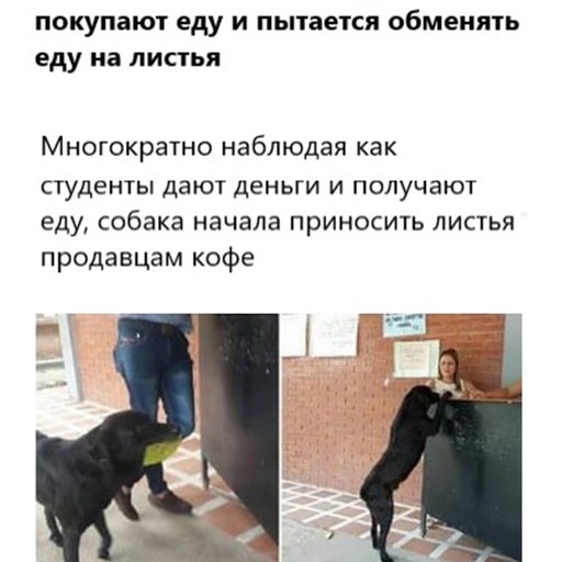 Anton, 31 год, Шарья