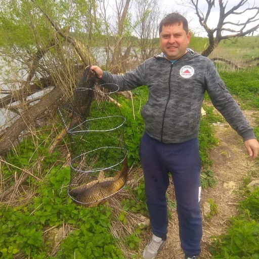 Олег37, Орёл