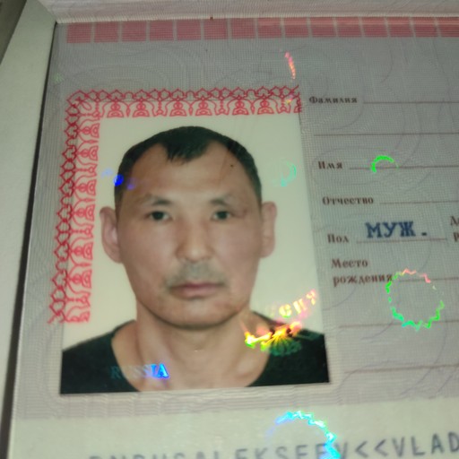Владимир, 45 лет, Мирный