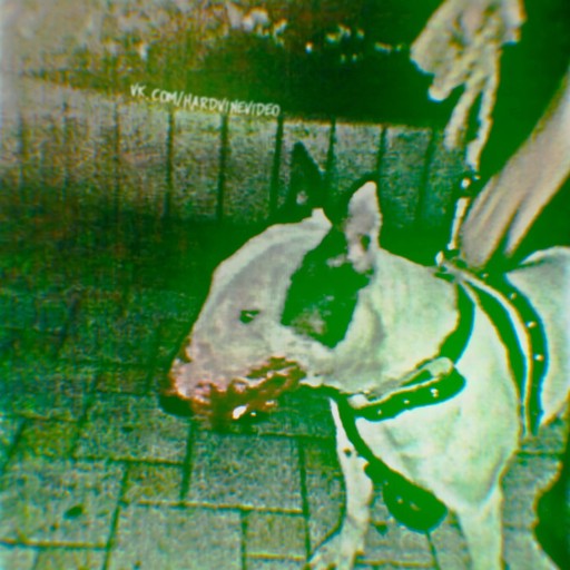 Максим, 28 лет, Кингисепп