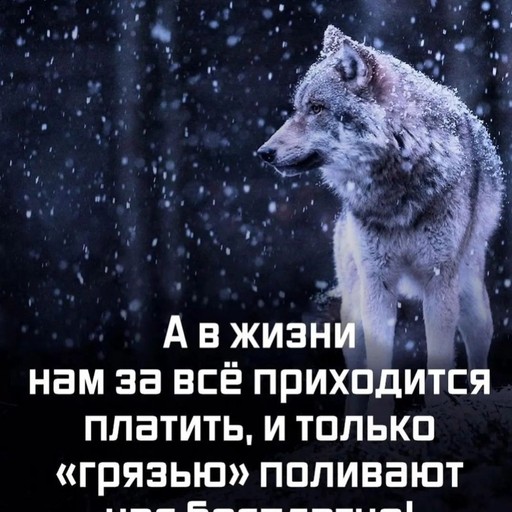 Баха, 44 года, Зеленоград