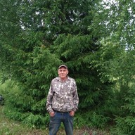 Юрий, 61 год, Удомля