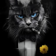 Lexa, 28 лет, Геническ