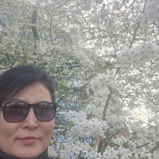 Сауле, 54 года, Омск