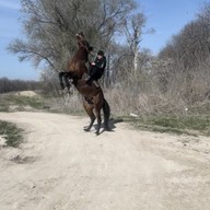 Сайт знакомств в Попасной: бесплатные знакомства для серьезных отношений