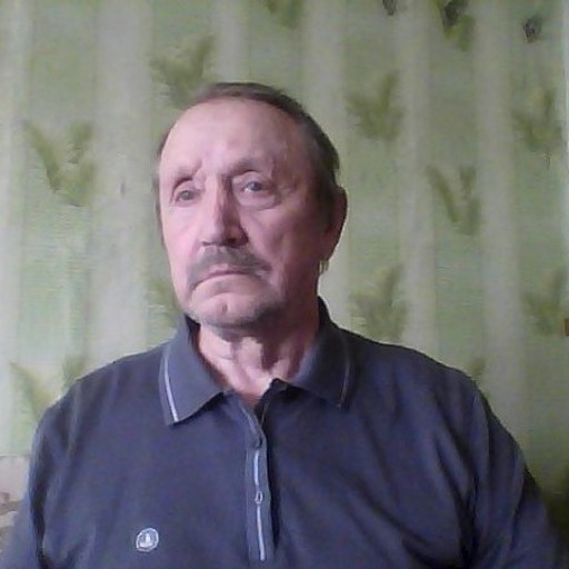 Владимир, 74 года, Осинки