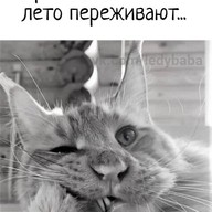 Юрий, 18 лет, Старый Крым