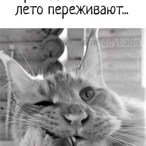Юрий, 18 лет, Старый Крым