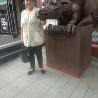 Елена, 51 год, Владивосток