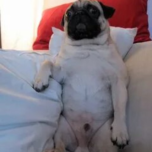 Саша23, Калинковичи