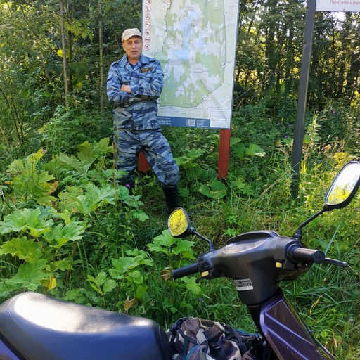 сергей, 53 года, Санкт-Петербург