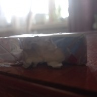 Стас, 24 года, Волгоград