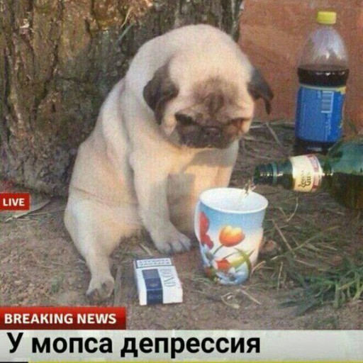 Дмитрий, 27 лет, Клин