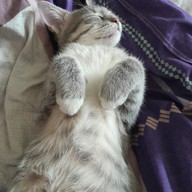 Дмитрий, 27 лет, Клин