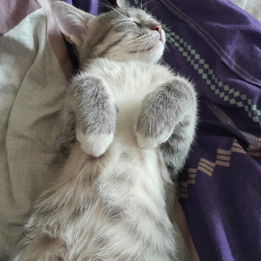 Дмитрий, 27 лет, Клин