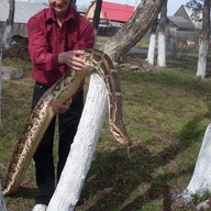 Андрей, 51 год, Ялуторовск