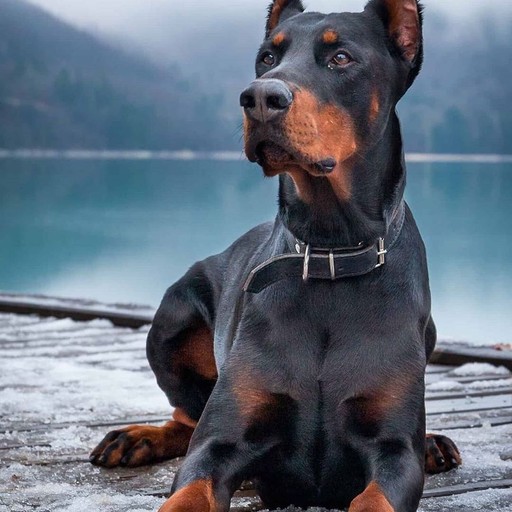 Денис29, Качканар