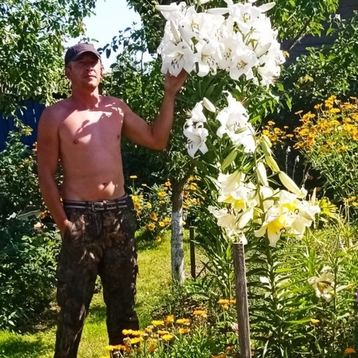Дмитрий, 46 лет, Минск