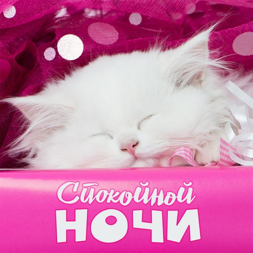 Олег, 43 года, Геническ
