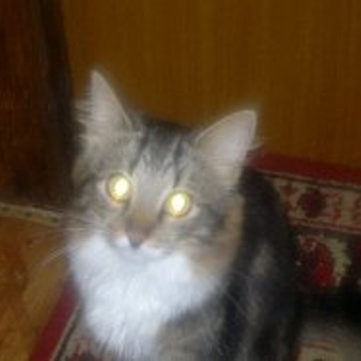 Денис47, Мулино