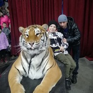 Роман, 38 лет, Нижнекамск