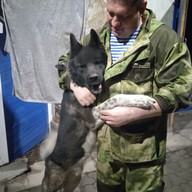 Константин, 38 лет, Свободный