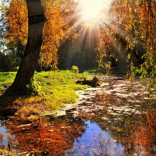 Анна44, Волжский