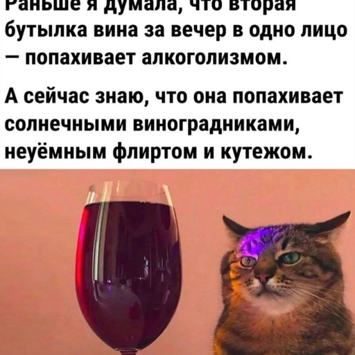 Ксюша, 38 лет, Калининград
