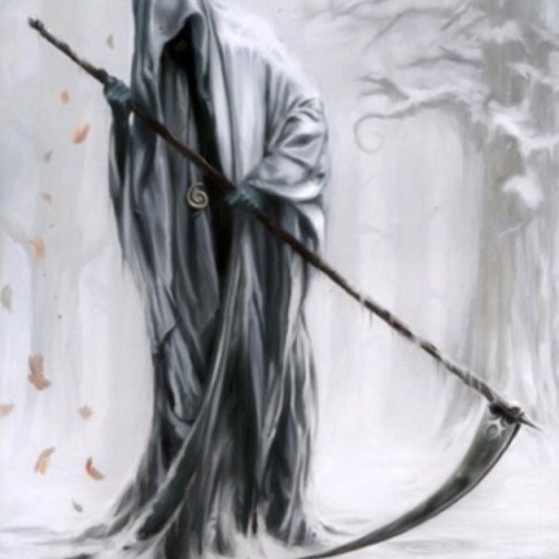 Nik39, Вологда