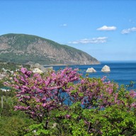 Евгения, 44 года, Гурзуф