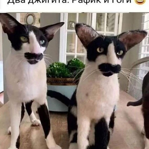 Александр, 43 года, Ейск