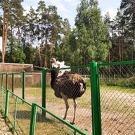 Анатолий, 49 лет, Севск
