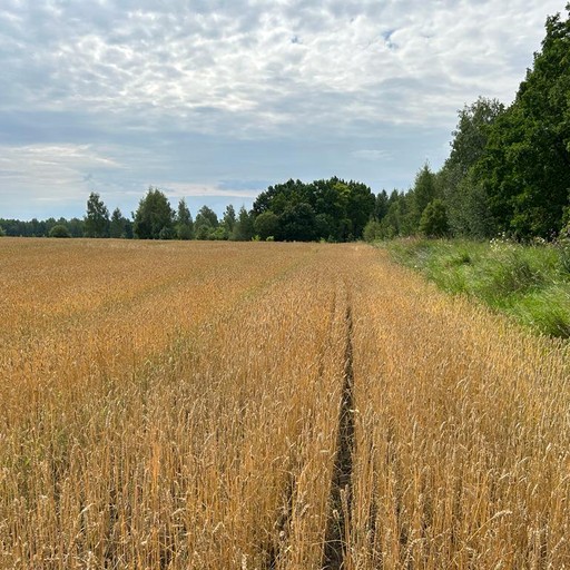 Mari54, Рязань