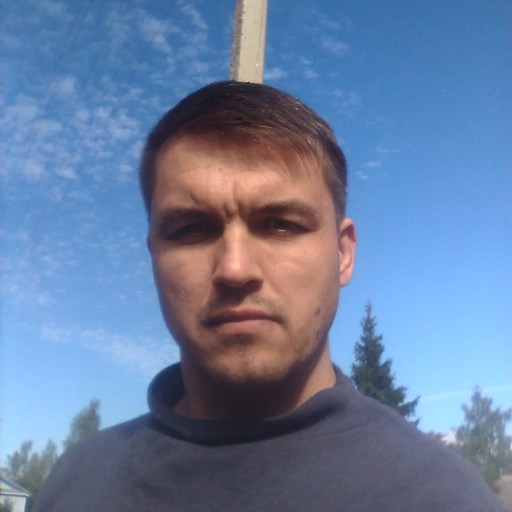 Николай, 39 лет, Демянск