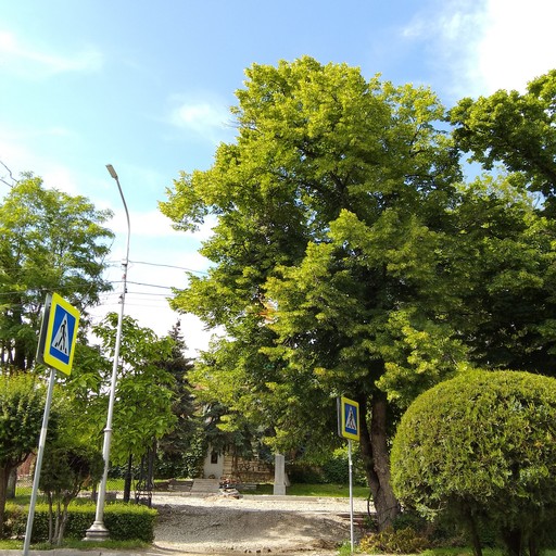 Роза, 50 лет, Карталы