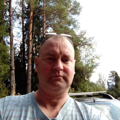 Алексей, 47 лет, Тихвин