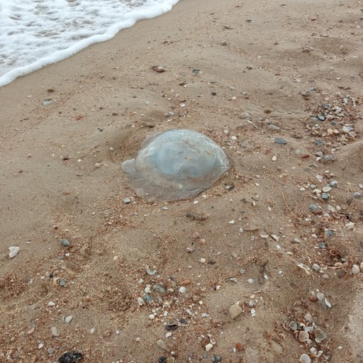 Dmitry33, Чебоксары