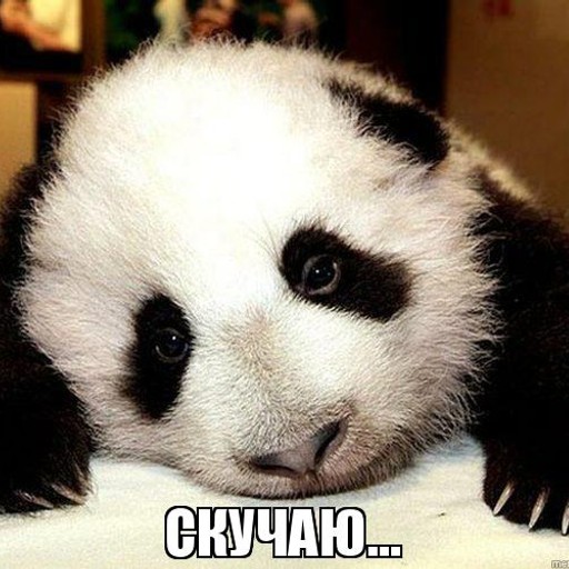 Анна Викторовна48, Чита