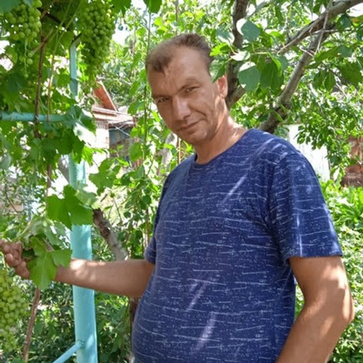 Дмитрий42, Медногорск