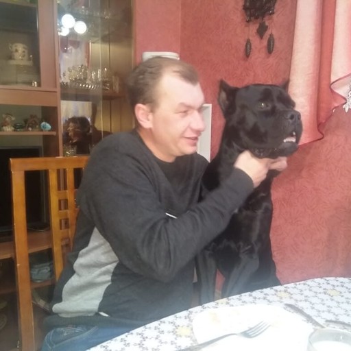 Дмитрий43, Медногорск