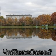 Sergey, 40 лет, Москва