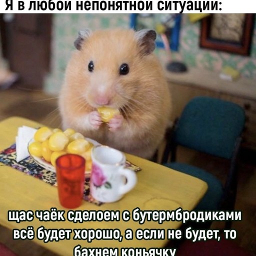 Дима, 34 года, Керчь