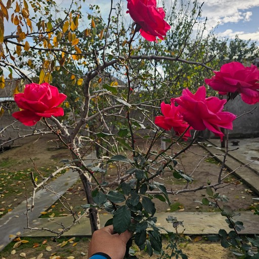Артур, 33 года, Кисловодск