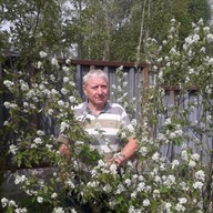 Анатолий, 74 года, Нижневартовск