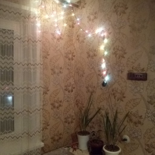 Михаил40, Шилово