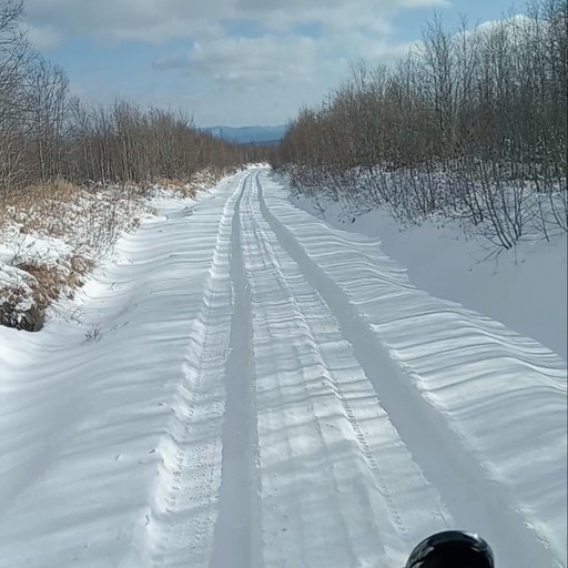 Алексей, 43 года, Хабаровск