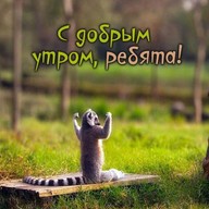 Александр, 41 год, Владивосток