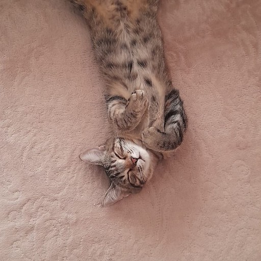 Костя, 19 лет, Омск