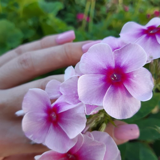 Oksana51, Калуга