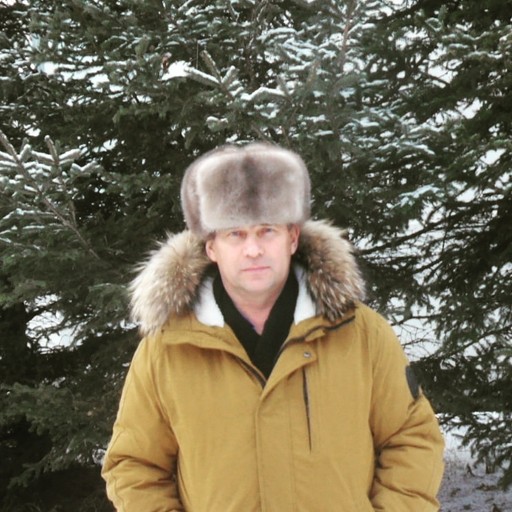 Анатолий,59, Дальнереченск